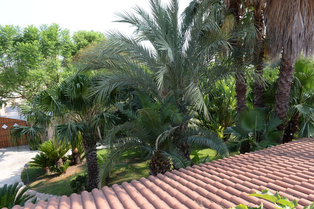 Il Giardino Delle Jacaranda Bed & Breakfast Talsano Luaran gambar